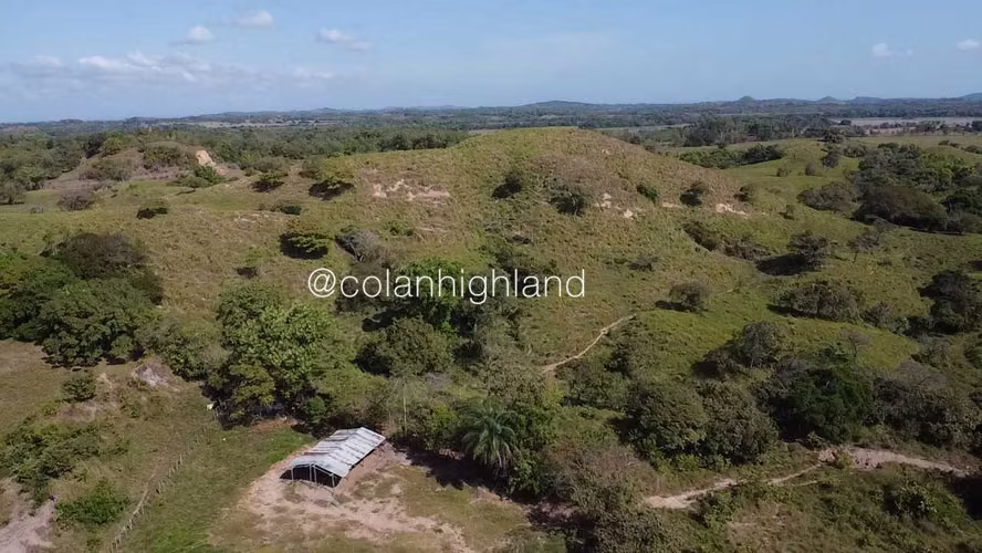 Se Vende Finca de 308.5 Hectareas en Los Llanos de Ocú