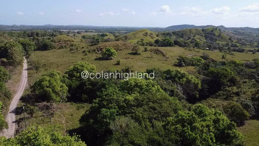 Se Vende Finca de 308.5 Hectareas en Los Llanos de Ocú