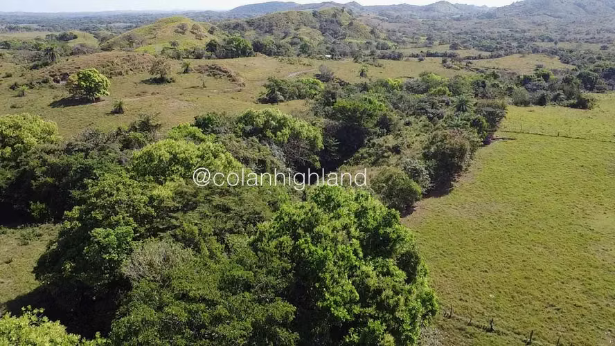 Se Vende Finca de 308.5 Hectareas en Los Llanos de Ocú