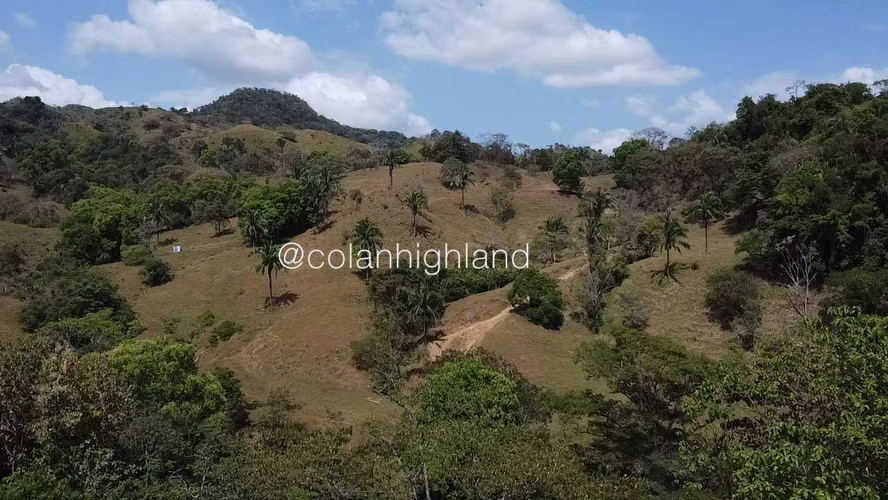 Se Vende Finca Ganadera de 1,731 ha. en Macaracas, Los Santos - Imagen 5