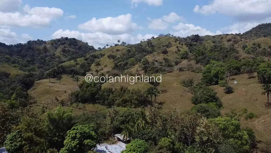 Se Vende Finca Ganadera de 1,731 ha. en Macaracas, Los Santos - Imagen 6