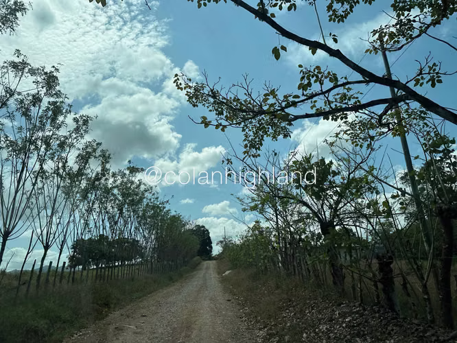 Se Vende Finca Ganadera de 1,731 ha. en Macaracas, Los Santos - Imagen 3