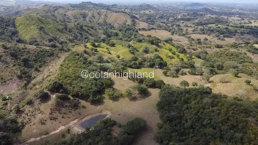 Se Vende Finca de 169.2 Ha. en Llano Largo de Los Santos 