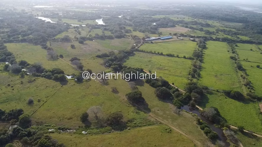 Se Vende Finca de 174.4 Hectareas en La Villa de Los Santos - Imagen 10
