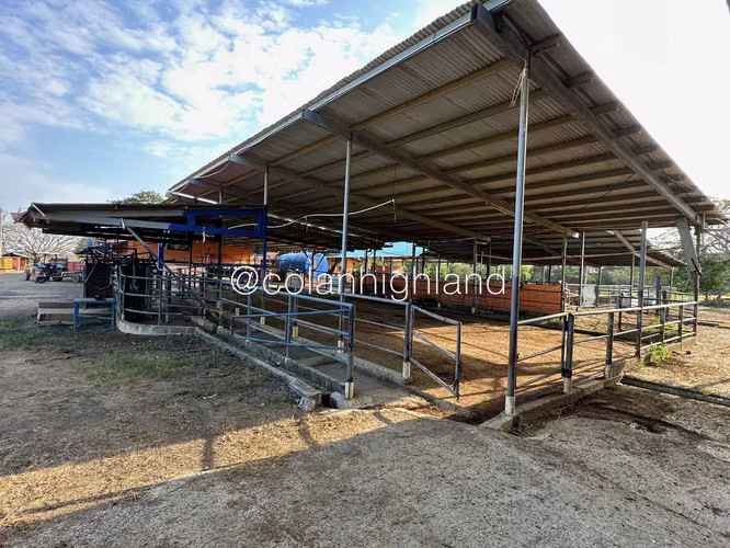 Se Vende Finca de 174.4 Hectareas en La Villa de Los Santos - Imagen 17