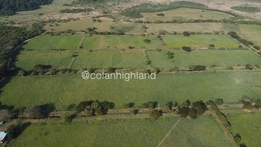 Se Vende Finca de 174.4 Hectareas en La Villa de Los Santos - Imagen 5