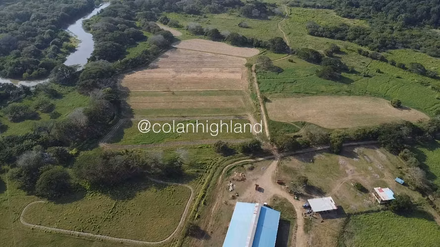Se Vende Finca de 174.4 Hectareas en La Villa de Los Santos - Imagen 4