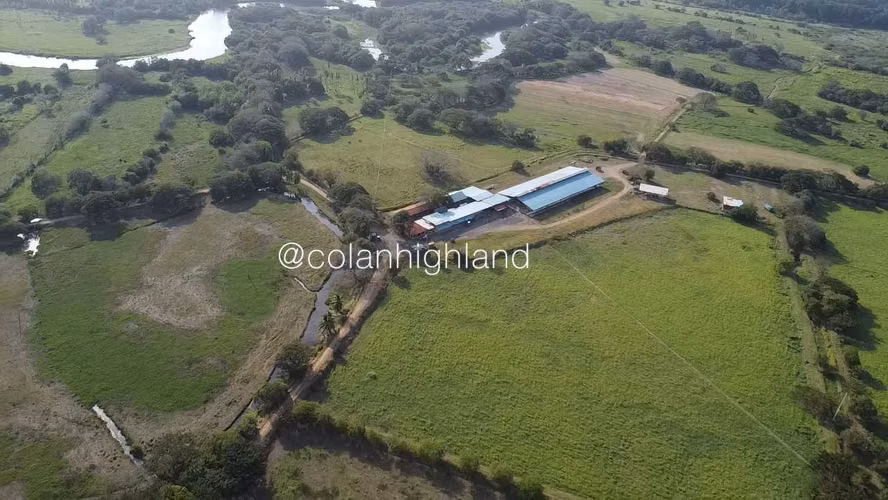 Se Vende Finca de 174.4 Hectareas en La Villa de Los Santos - Imagen 8