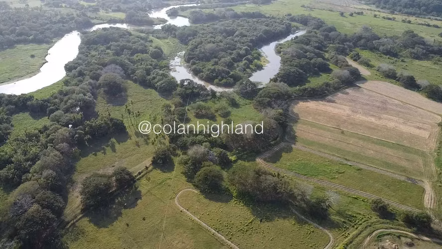 Se Vende Finca de 174.4 Hectareas en La Villa de Los Santos - Imagen 6