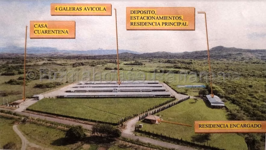 Venta de Granja Explotadora de Pollos en Natá, Coclé 26-4519GG