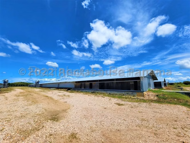 Venta de Granja Explotadora de Pollos en Natá, Coclé 26-4519GG