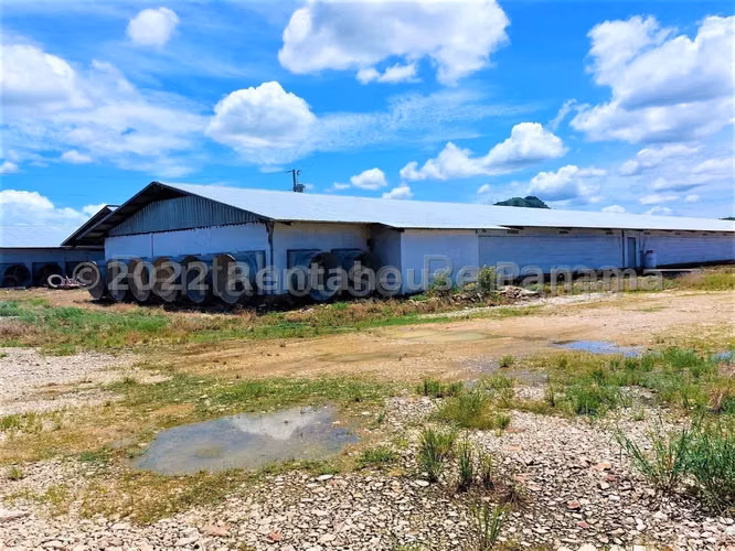 Venta de Granja Explotadora de Pollos en Natá, Coclé 26-4519GG