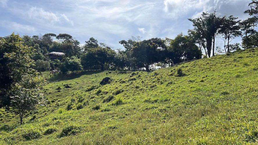Finca ganadera en venta en Cañita | 14.5 ha tituladas y económicas