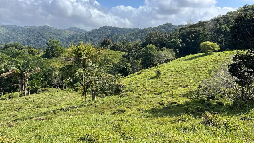 Finca ganadera en venta en Cañita | 14.5 ha tituladas y económicas