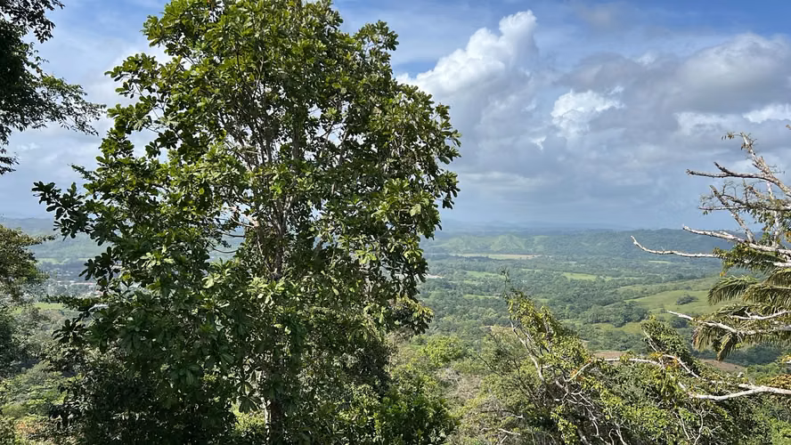 Finca ganadera en venta en Cañita | 14.5 ha tituladas y económicas