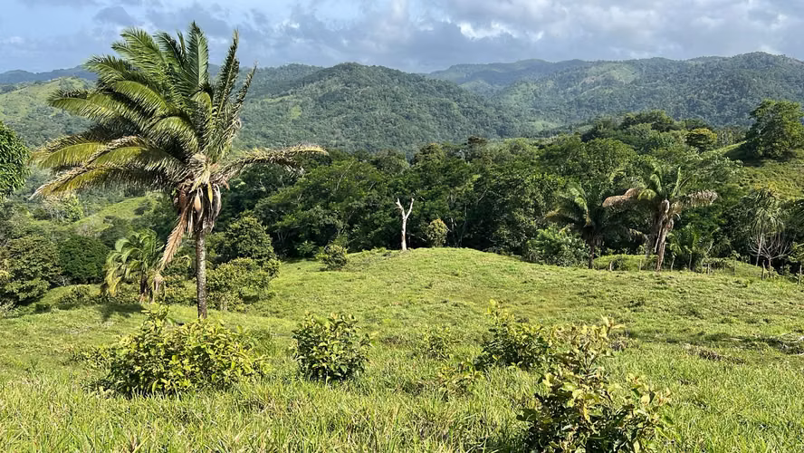 Finca ganadera en venta en Cañita | 14.5 ha tituladas y económicas