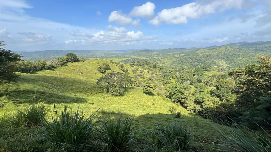 Finca ganadera en venta en Cañita | 14.5 ha tituladas y económicas