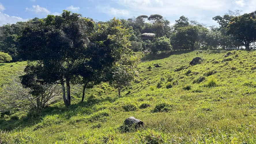Finca ganadera en venta en Cañita | 14.5 ha tituladas y económicas