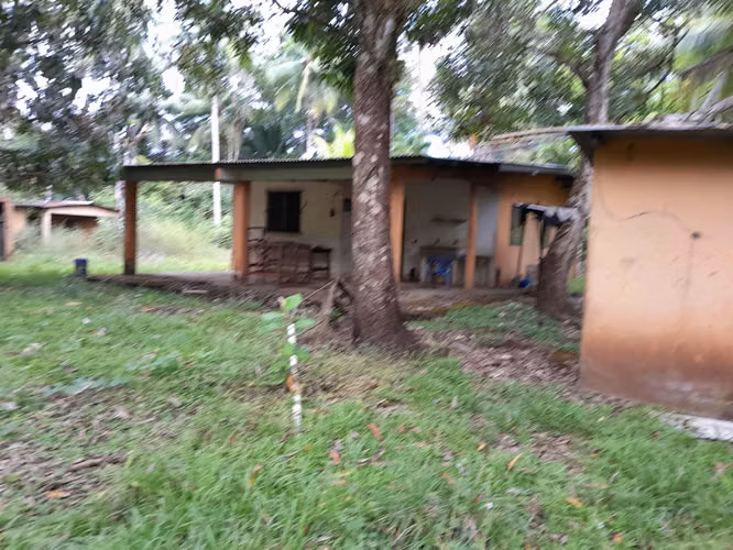SE VENDE FINCA GANADERA EN PUERTO ORLA (RÍO DE JESÚS).