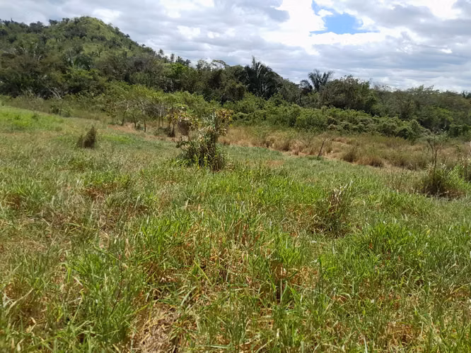 SE VENDE FINCA GANADERA EN PUERTO ORLA (RÍO DE JESÚS).