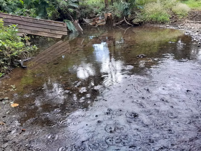 SE VENDE FINCA GANADERA EN PUERTO ORLA (RÍO DE JESÚS).