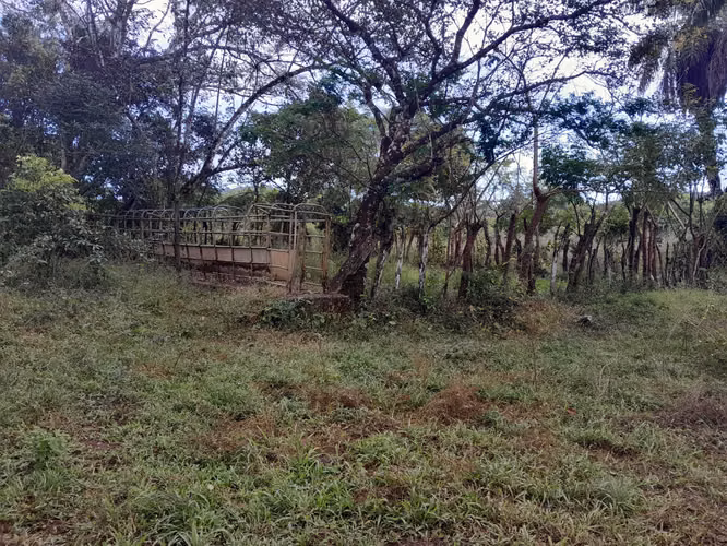 SE VENDE FINCA GANADERA EN PUERTO ORLA (RÍO DE JESÚS).