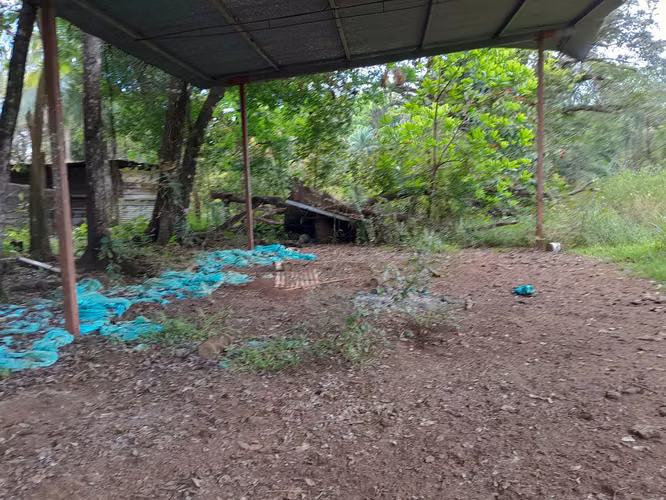 SE VENDE FINCA GANADERA EN PUERTO ORLA (RÍO DE JESÚS).