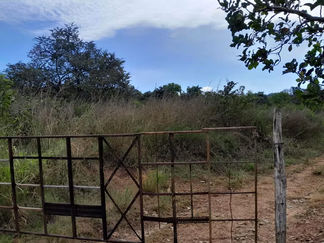 SE VENDE FINCA GANADERA EN PUERTO ORLA (RÍO DE JESÚS).