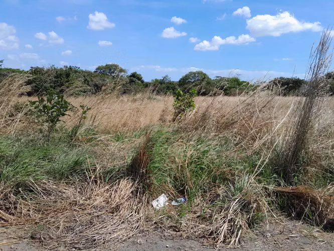 SE VENDE TERRENO A ORILLAS DE LA PANAMERICANA