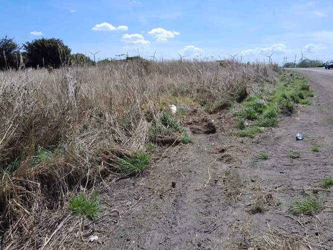 SE VENDE TERRENO A ORILLAS DE LA PANAMERICANA