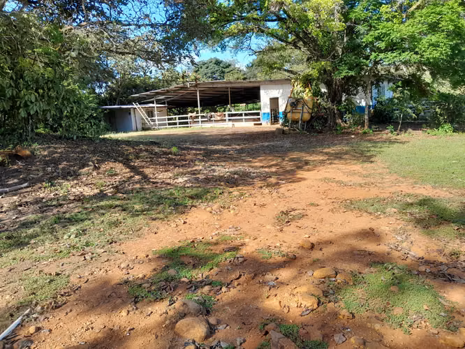 SE VENDEN 3 FINCAS EN SAN FRANCISCO DE VERAGUAS.
