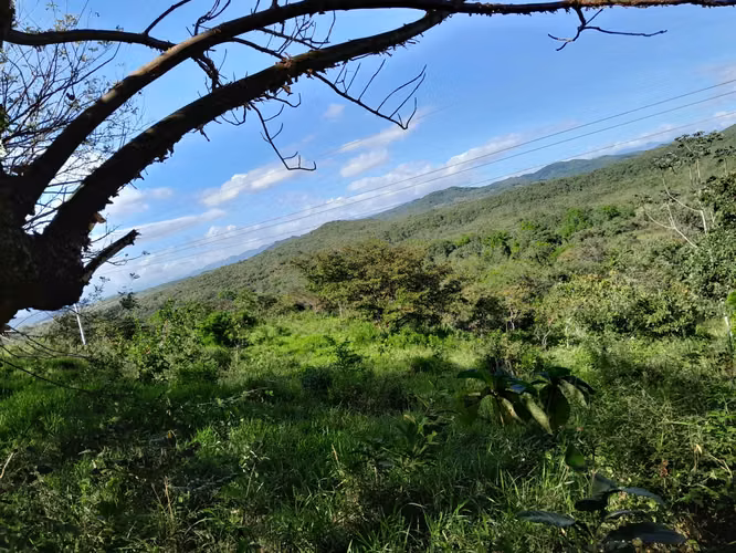 SE VENDEN 3 FINCAS EN SAN FRANCISCO DE VERAGUAS.