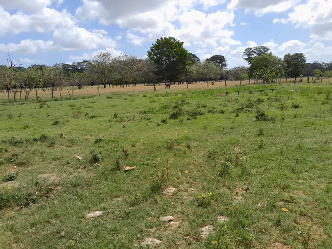 SE VENDE FINCA EN TONOSI (RÍO TONOSI POR EL MEDIO)