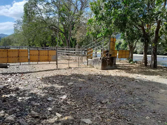 SE VENDE FINCA EN TONOSI (RÍO TONOSI POR EL MEDIO)