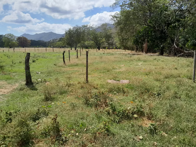 SE VENDE FINCA EN TONOSI (RÍO TONOSI POR EL MEDIO)