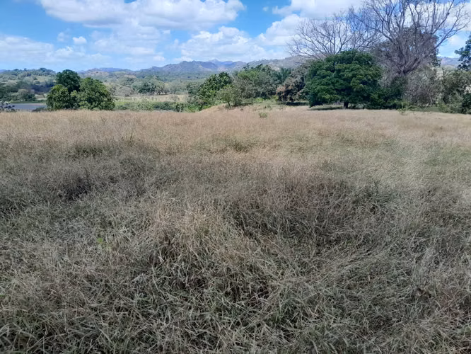 SE VENDE FINCA EN TONOSI (RÍO TONOSI POR EL MEDIO)