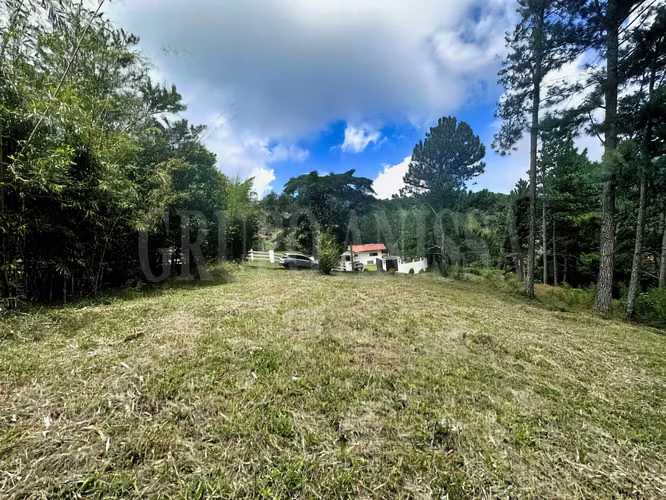 Oportunidad! Se Vende Terreno en Zona Alta - Altos del Maria - Imagen 2