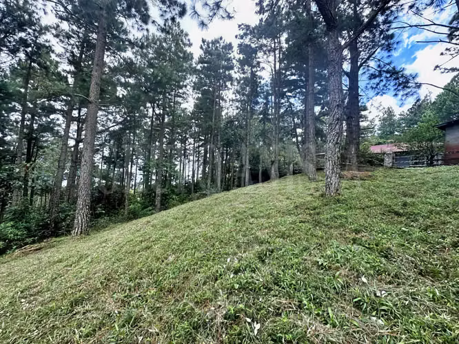 Oportunidad! Se Vende Terreno en Zona Alta - Altos del Maria - Imagen 4