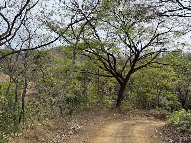 Terreno en venta, 85 metros frente a Playa, Cambutal, Tonosí, Los Santos