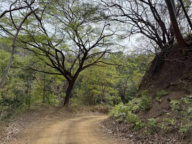 Terreno en venta, 85 metros frente a Playa, Cambutal, Tonosí, Los Santos