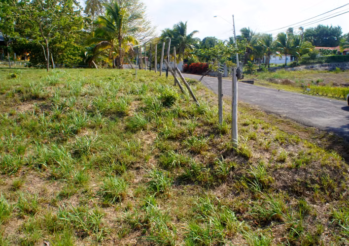 SAN CARLOS TERRENO EN VENTA