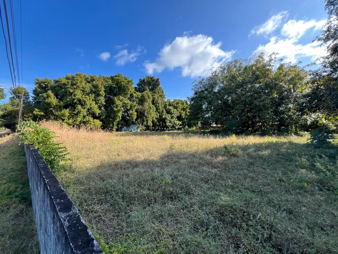 CORONADO TERRENO EN VENTA 4,500m²