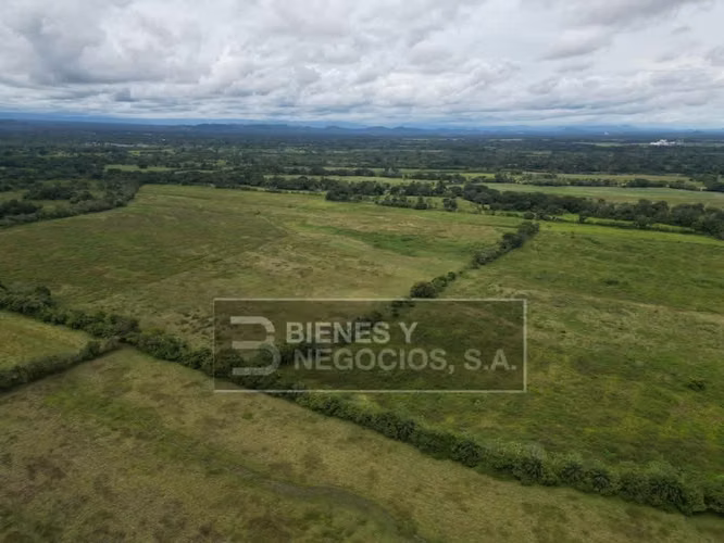 Finca en Chiriqui, Alanje, 88.6 hectáreas, El Tejar - Imagen 5