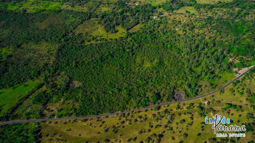 10 Hectáreas en Venta en Caldera Boquete - Imagen 5