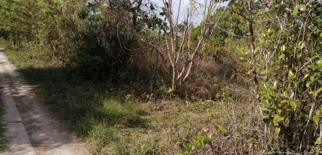 7 hectáreas de terreno en venta, el Higo De San Carlos