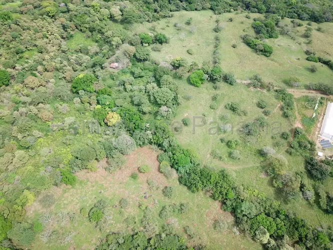 VENTA DE FINCA EN CHAME