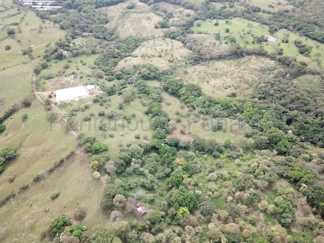 VENTA DE FINCA EN CHAME