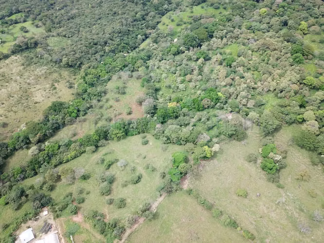 VENTA DE FINCA EN CHAME