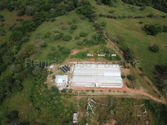 VENTA DE FINCA EN CHAME