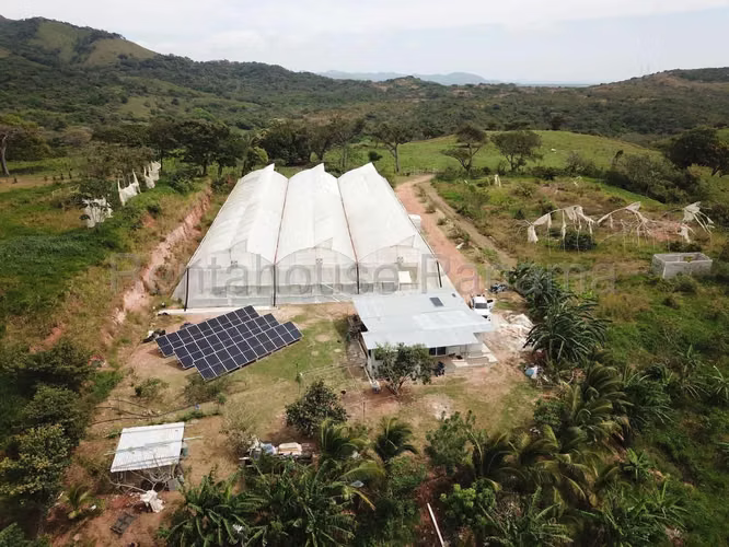 VENTA DE FINCA EN CHAME